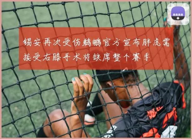 锡安再次受伤鹈鹕官方宣布胖虎需接受右膝手术将缺席整个赛季